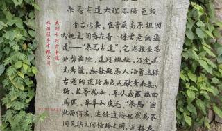 去有风的地方拍摄地