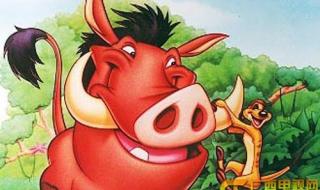 小神龙俱乐部动画片