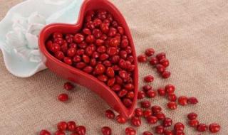 相思豆是什么 相思豆是什么